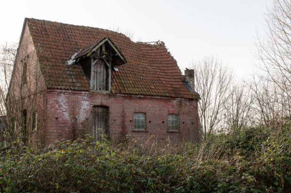 2019-12-10 - NSG Berkelaue Gescher