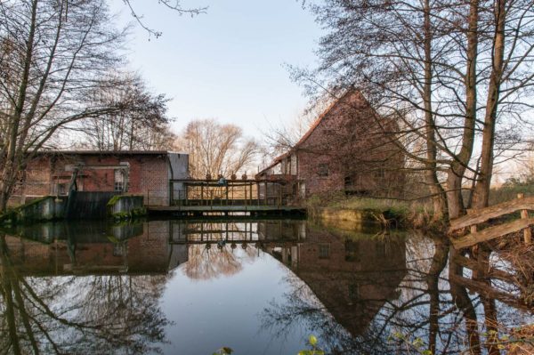 2019-12-10 - NSG Berkelaue Gescher