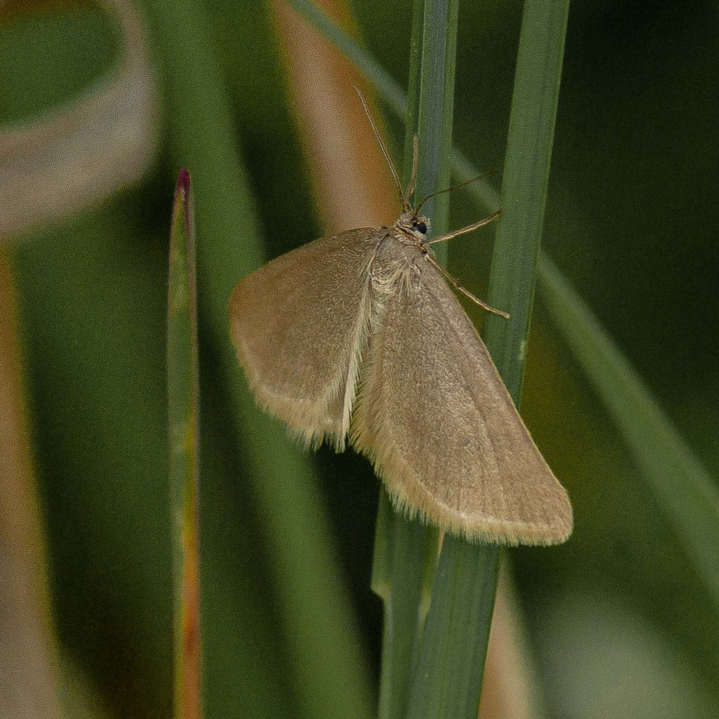 2017-05-24 - Harz - Tag 2