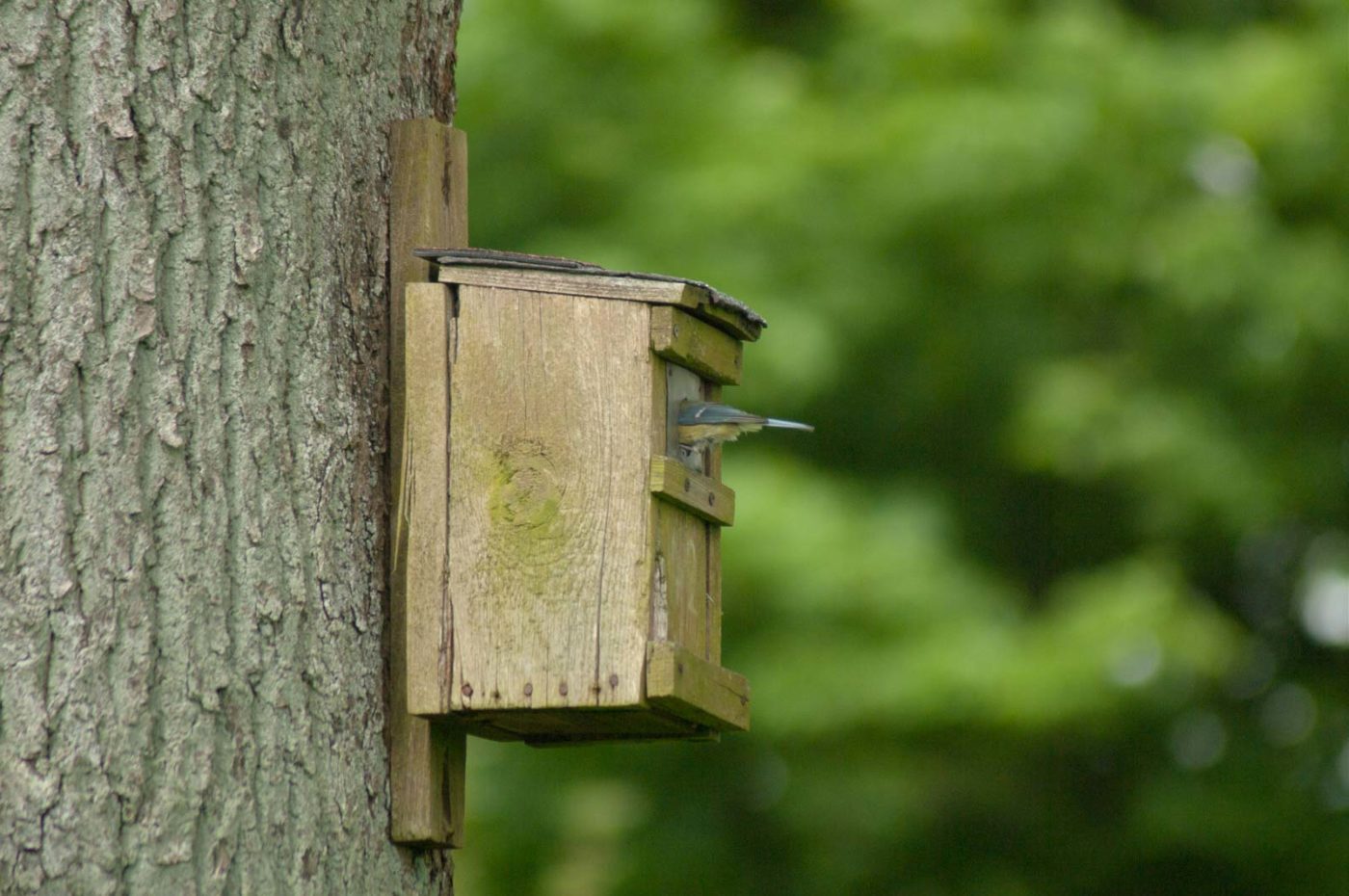 2017-05-24 - Harz - Tag 2
