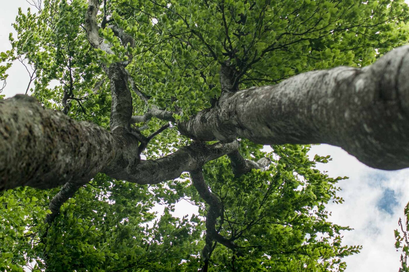 2017-05-24 - Harz - Tag 2