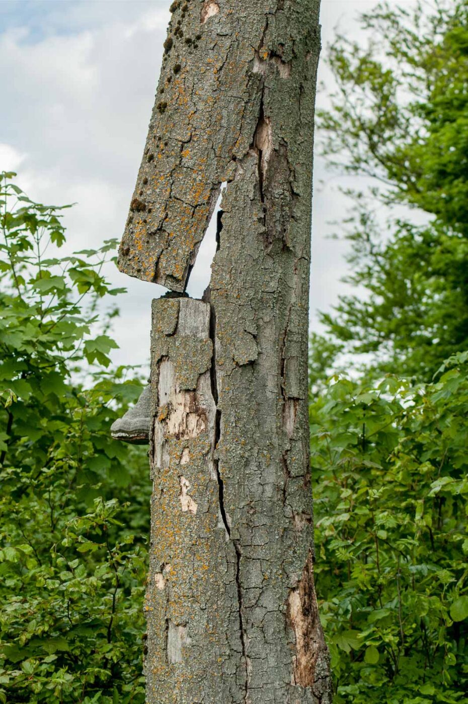 2017-05-24 - Harz - Tag 2