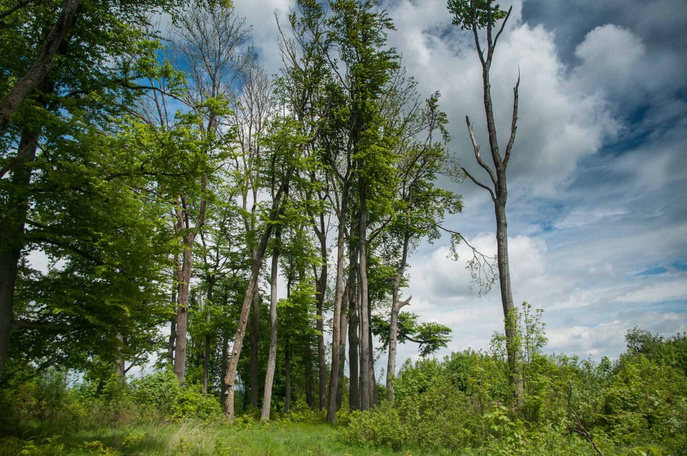 2017-05-24 - Harz - Tag 2