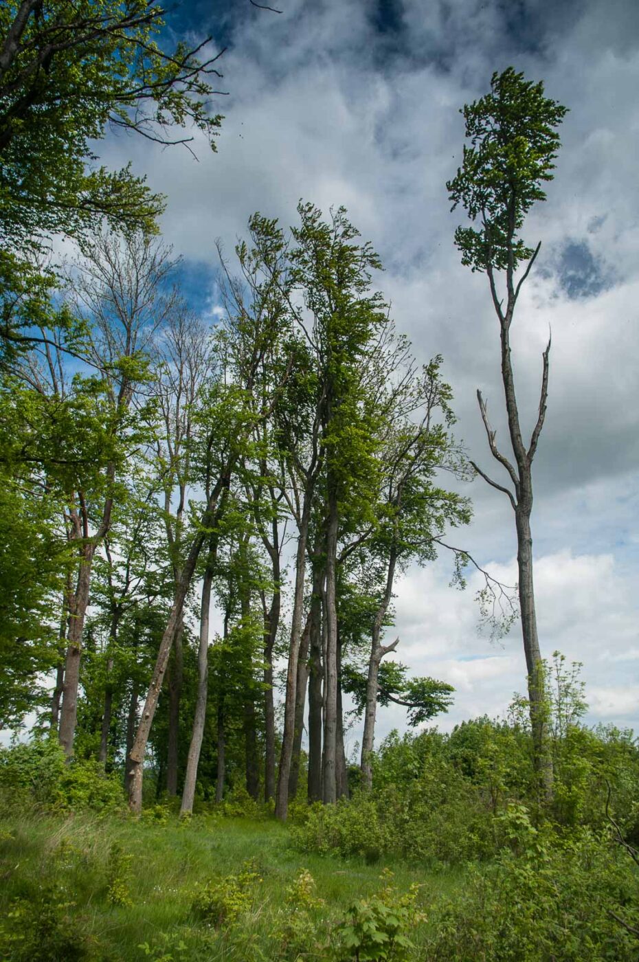 2017-05-24 - Harz - Tag 2
