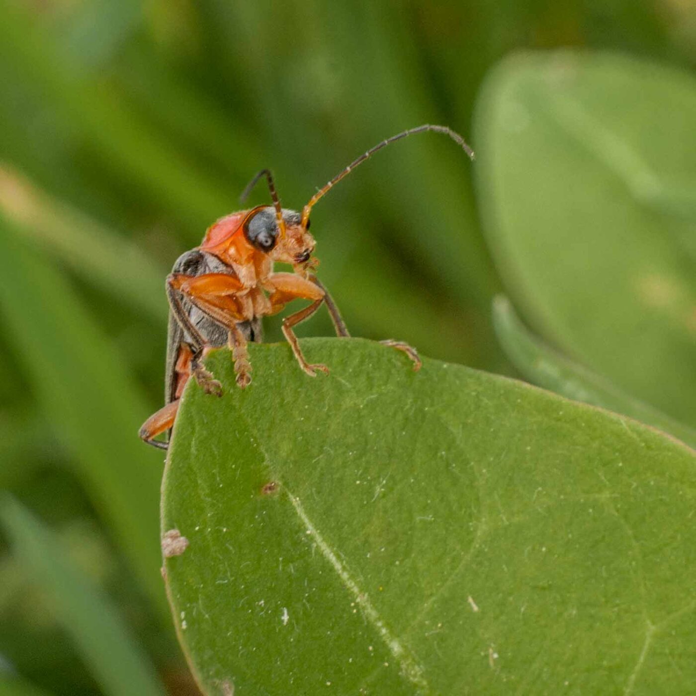 2017-05-24 - Harz - Tag 2