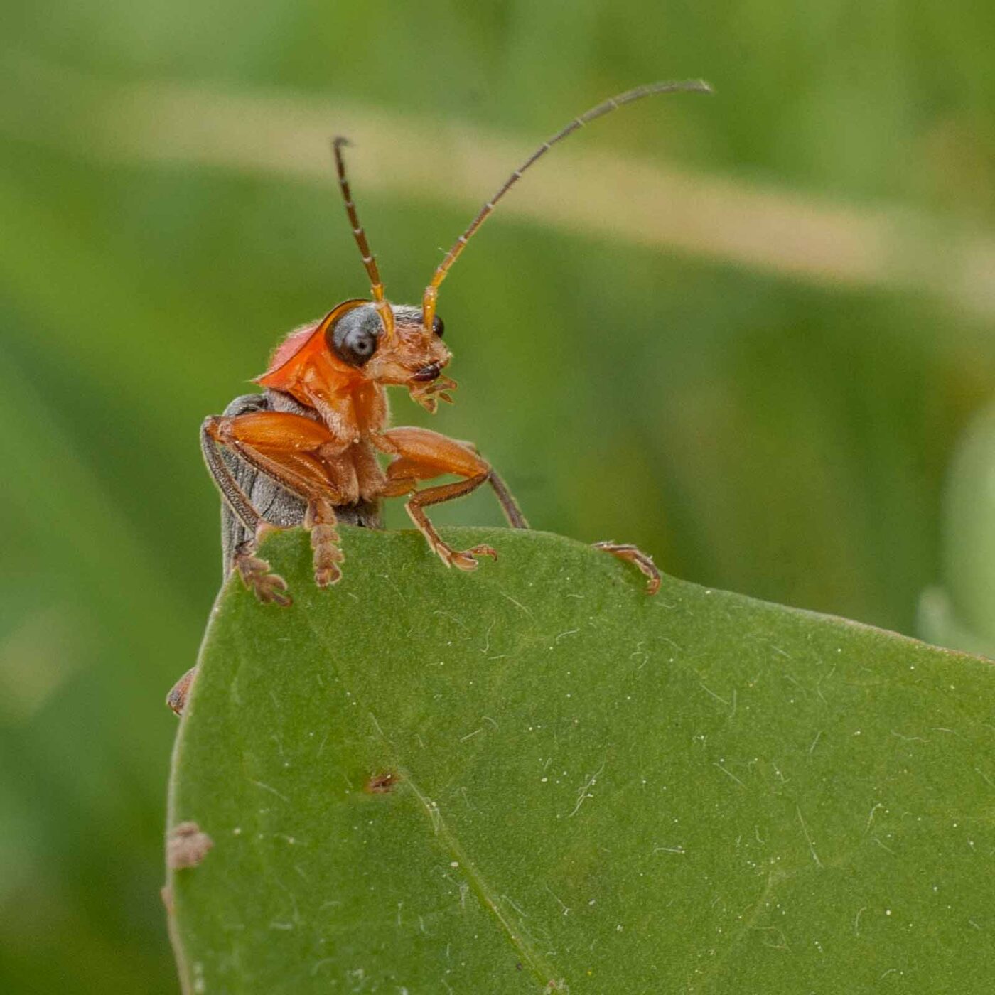 2017-05-24 - Harz - Tag 2