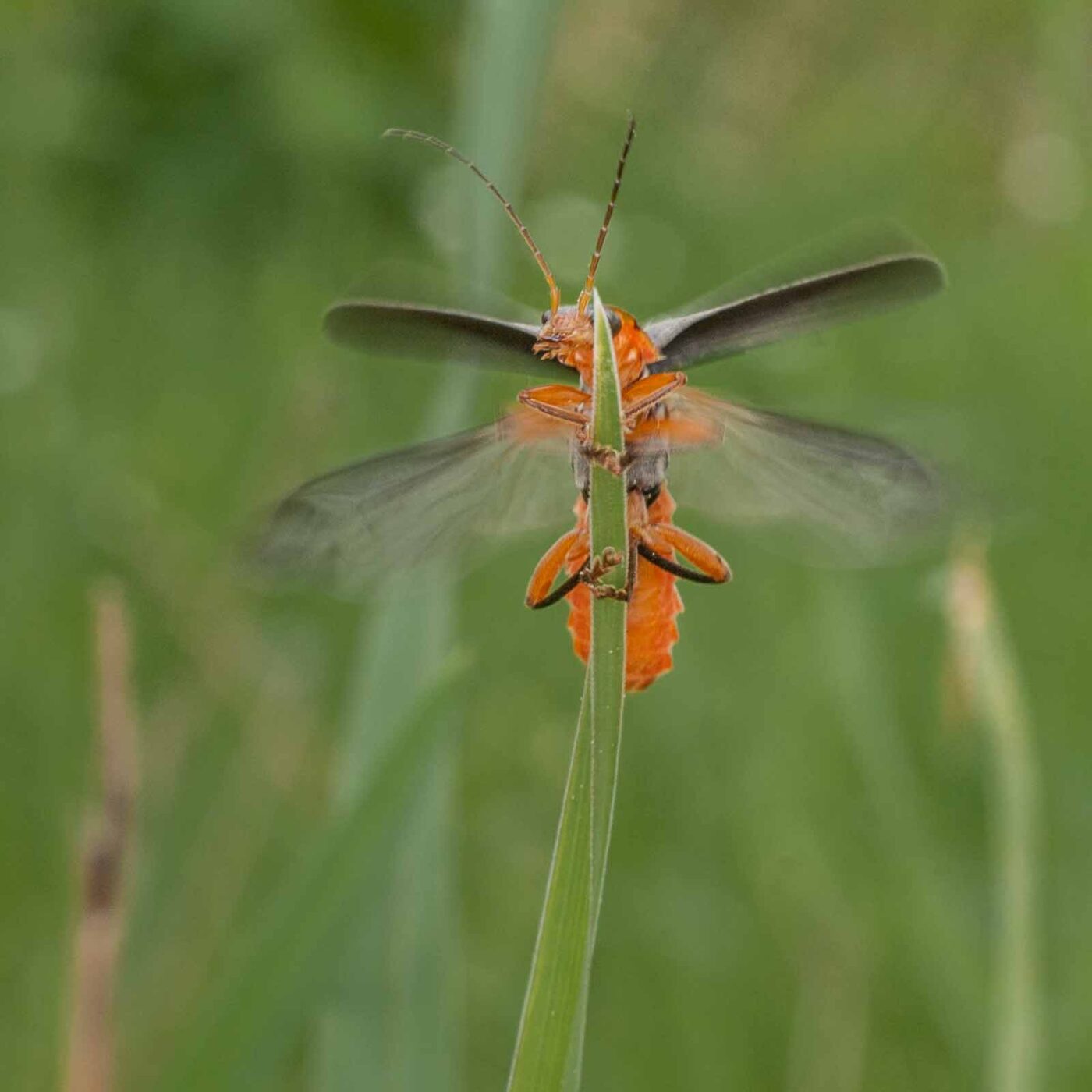 2017-05-24 - Harz - Tag 2
