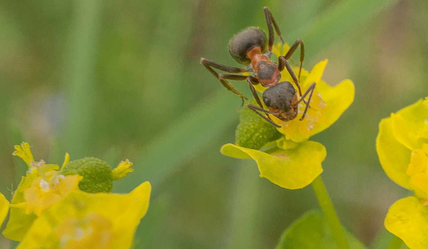 2017-05-24 - Harz - Tag 2