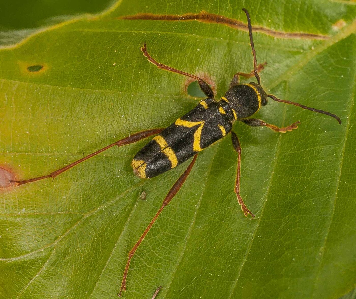 2017-05-24 - Harz - Tag 2
