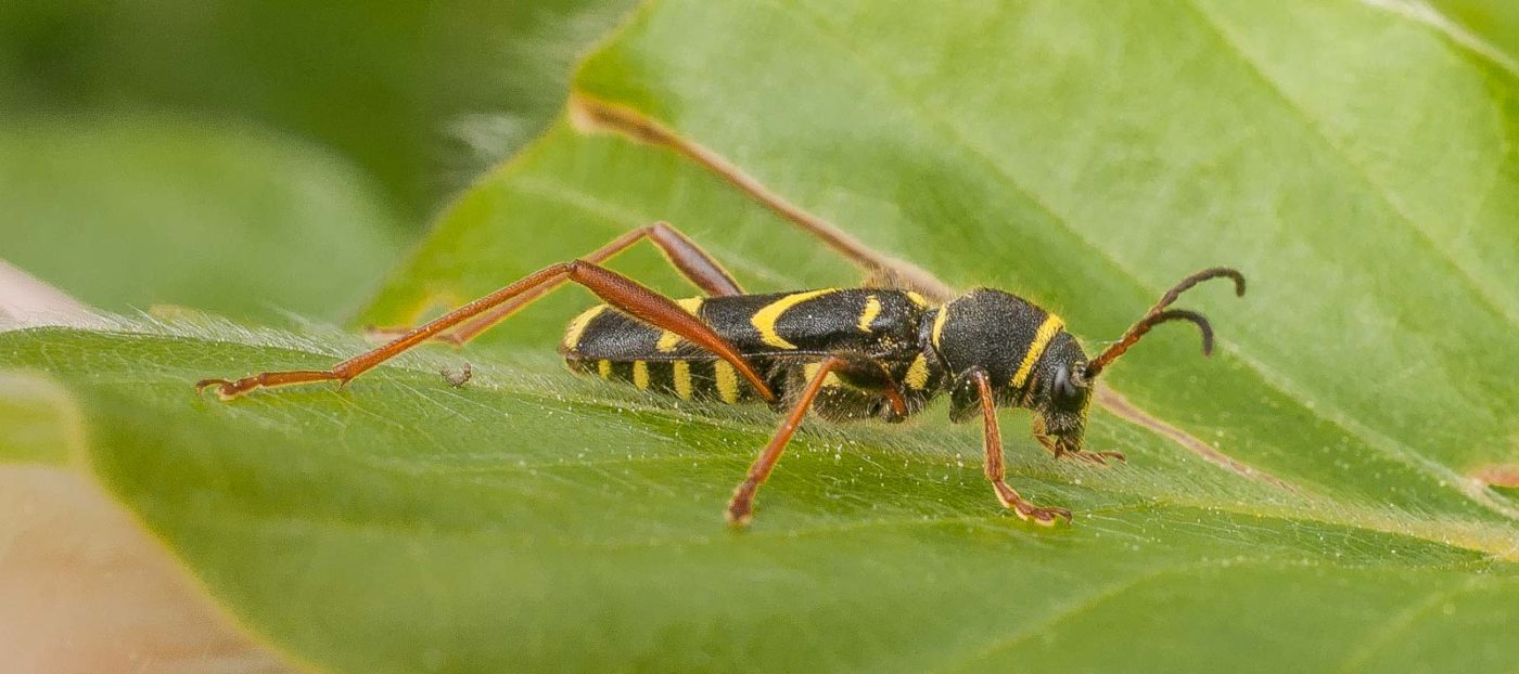 2017-05-24 - Harz - Tag 2