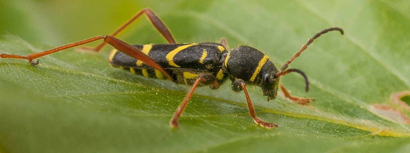 2017-05-24 - Harz - Tag 2