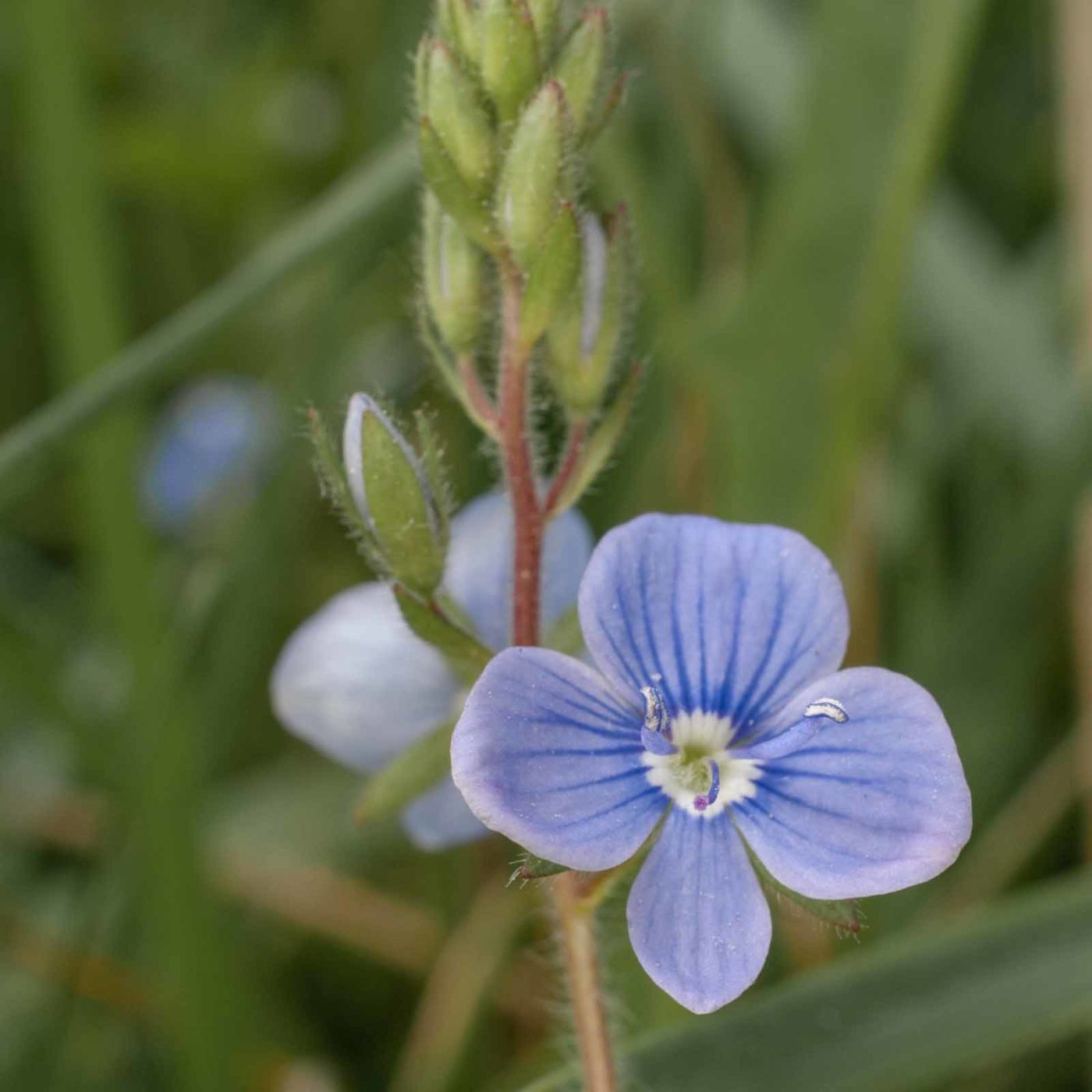 2017-05-24 - Harz - Tag 2