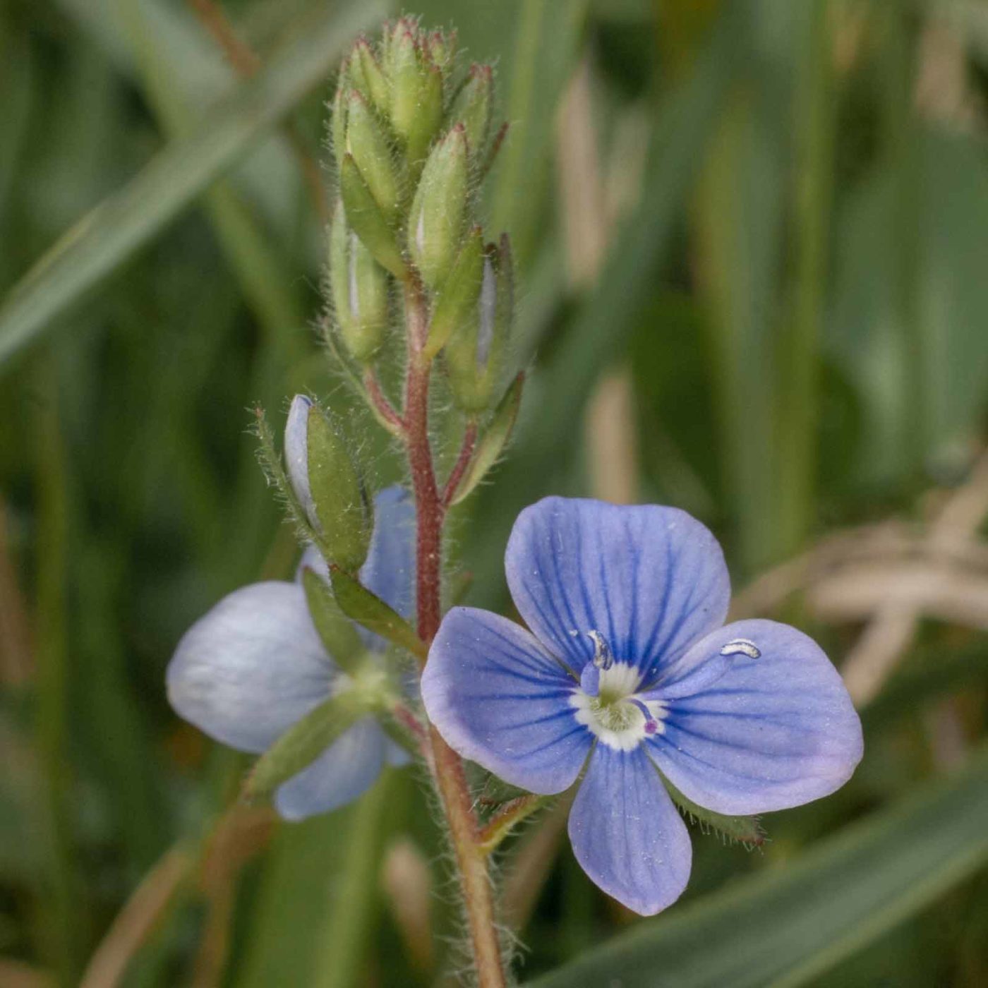2017-05-24 - Harz - Tag 2