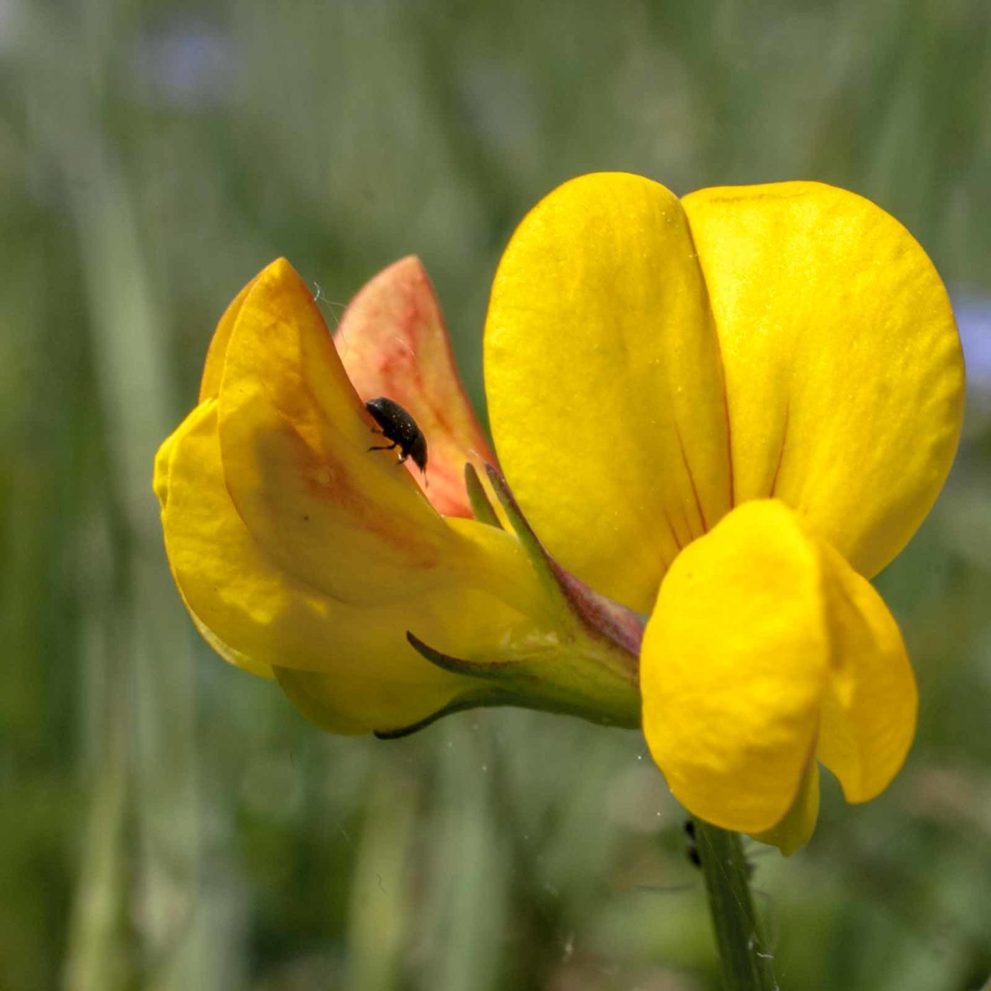 2017-05-24 - Harz - Tag 2