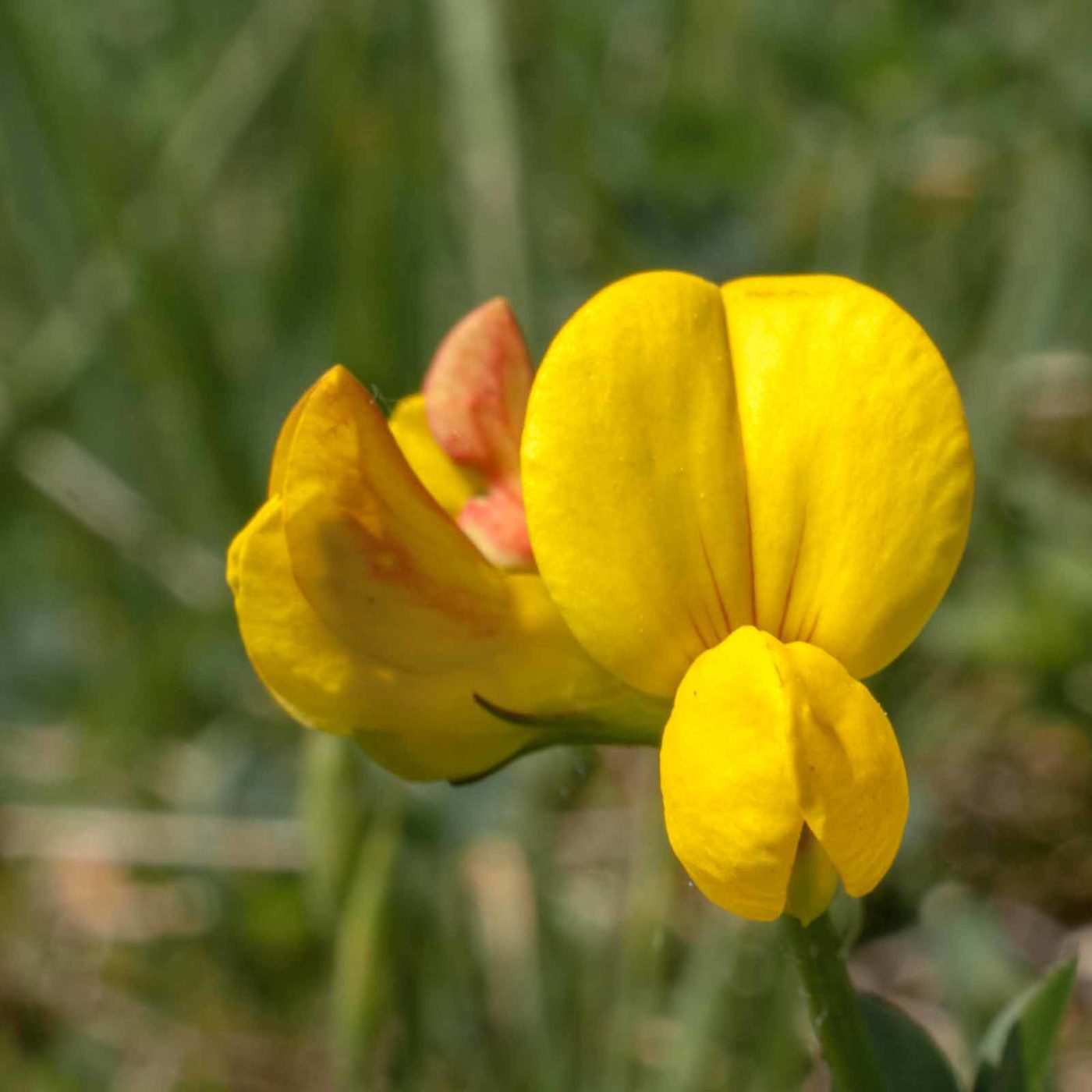 2017-05-24 - Harz - Tag 2