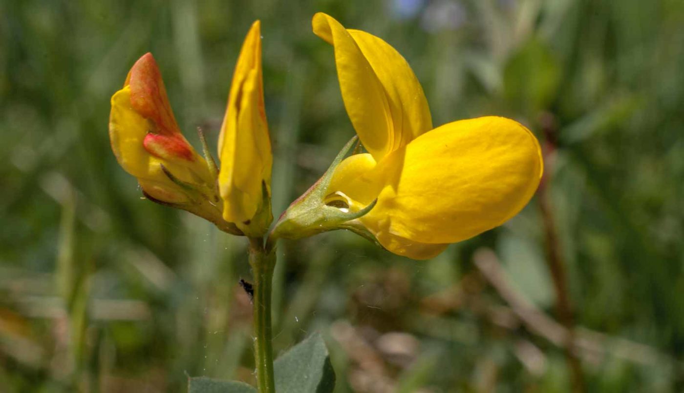 2017-05-24 - Harz - Tag 2