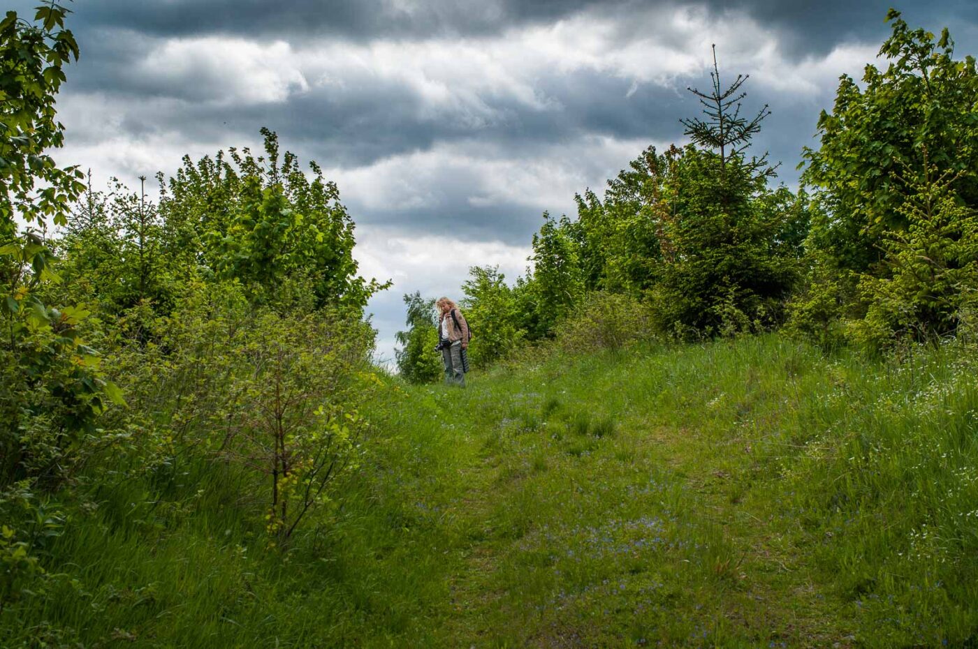 2017-05-24 - Harz - Tag 2
