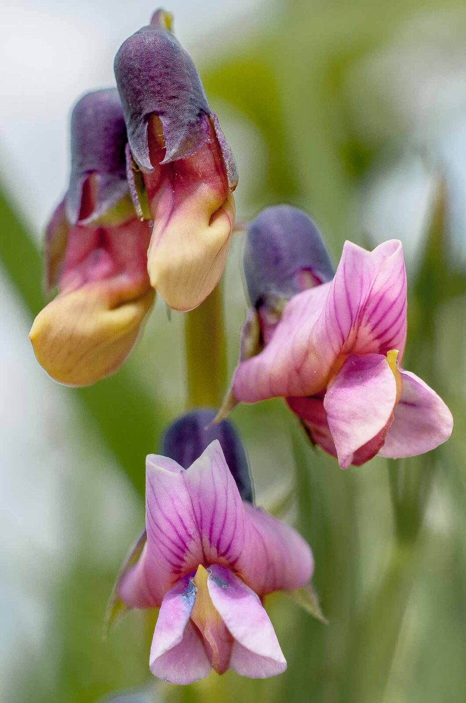 2017-05-24 - Harz - Tag 2