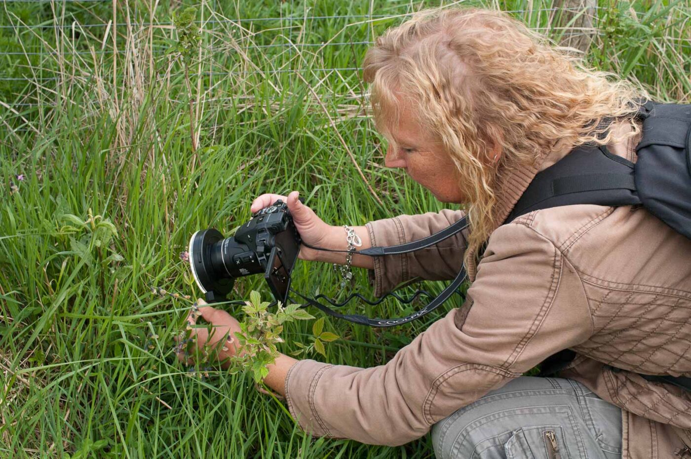 2017-05-24 - Harz - Tag 2