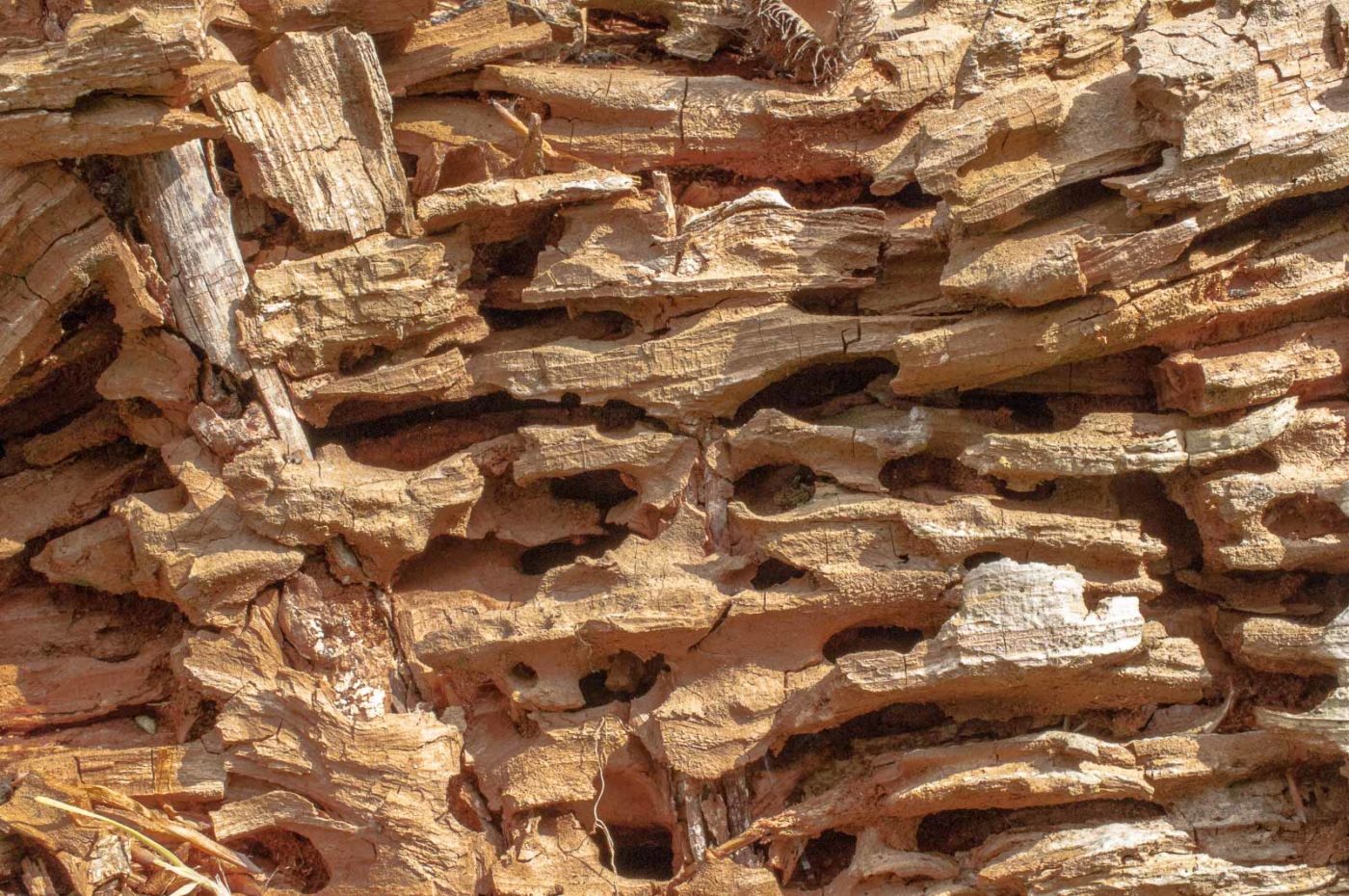 2017-05-24 - Harz - Tag 2