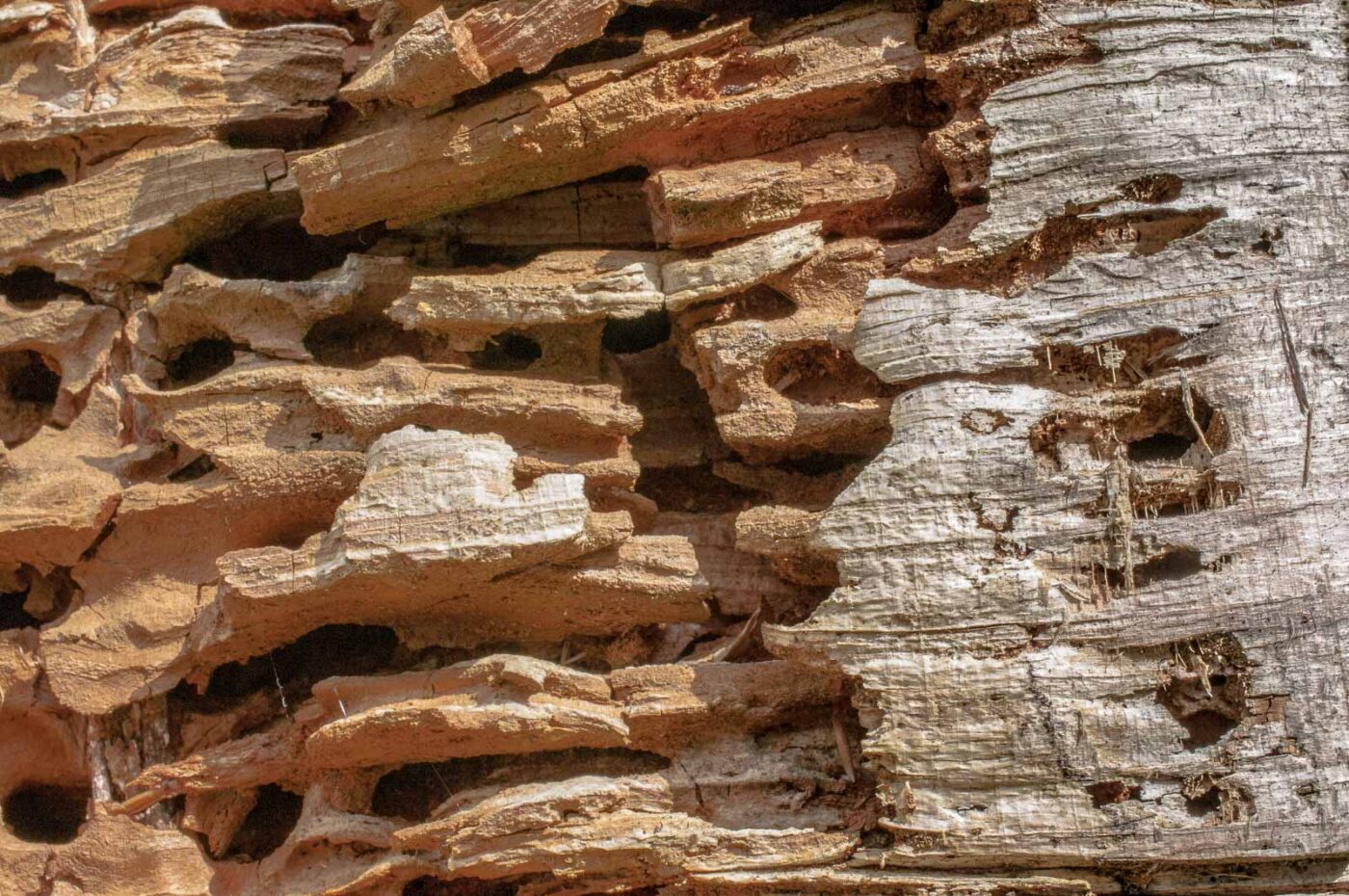 2017-05-24 - Harz - Tag 2