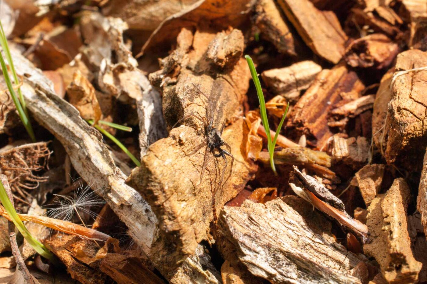 2017-05-24 - Harz - Tag 2