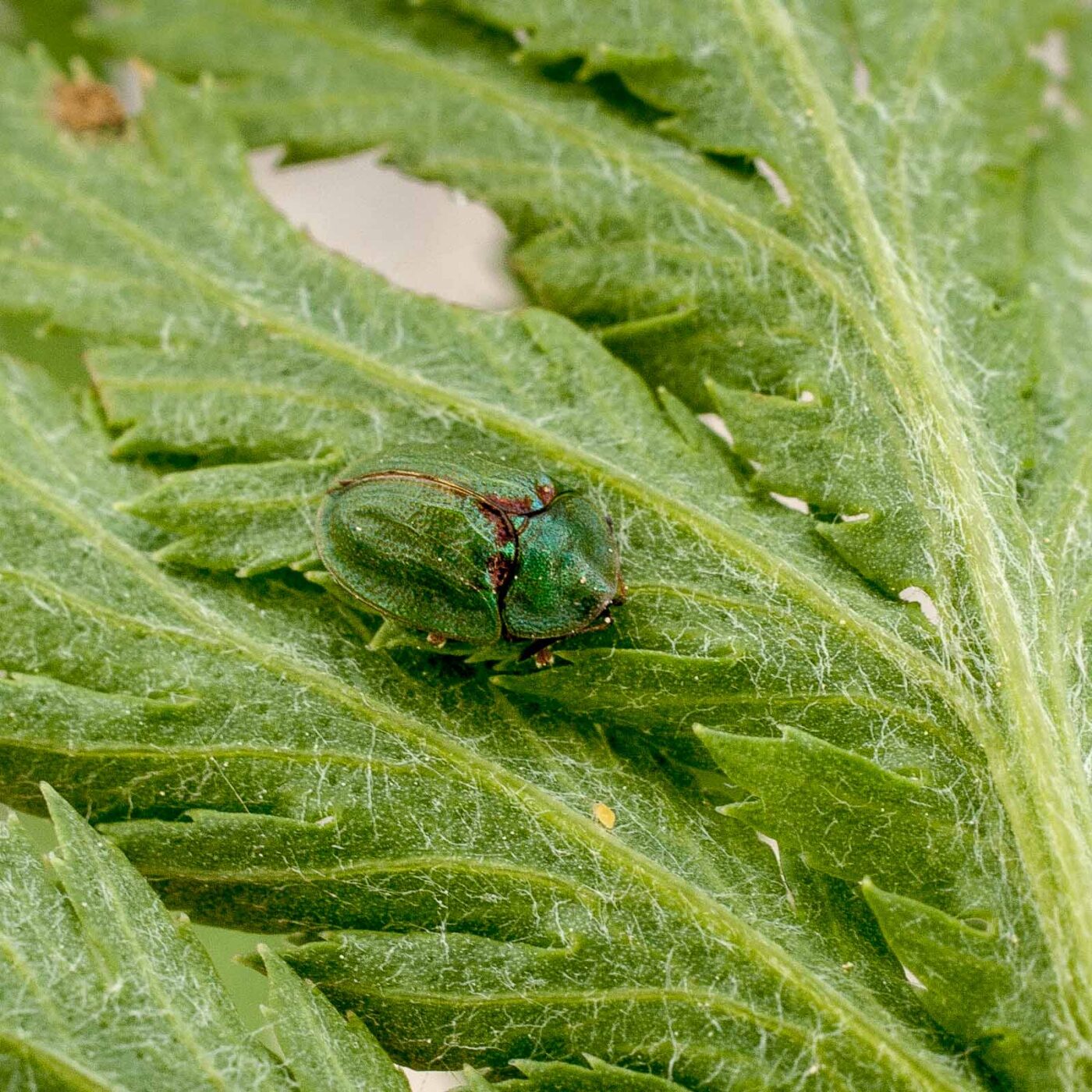 2017-05-24 - Harz - Tag 2