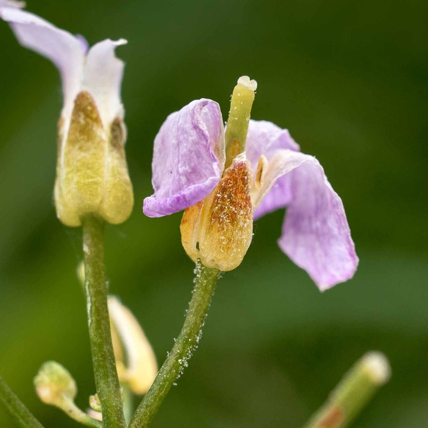 2017-05-24 - Harz - Tag 2