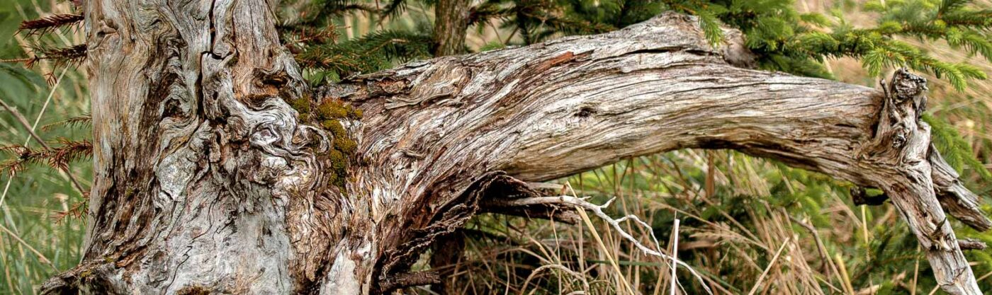 2017-05-24 - Harz - Tag 2