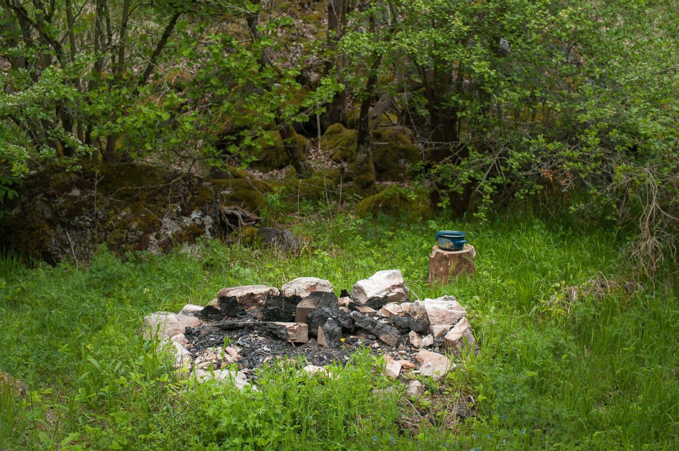 2017-05-25 - Blankenburg