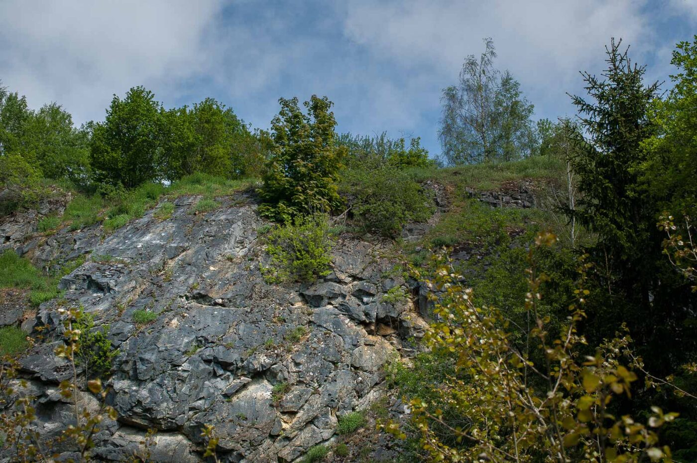 2017-05-25 - Blankenburg