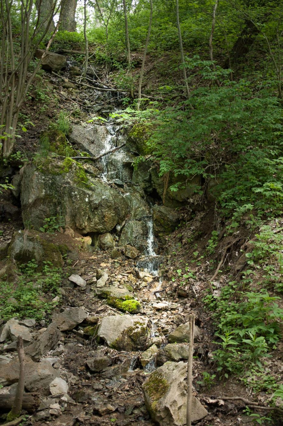 2017-05-25 - Blankenburg