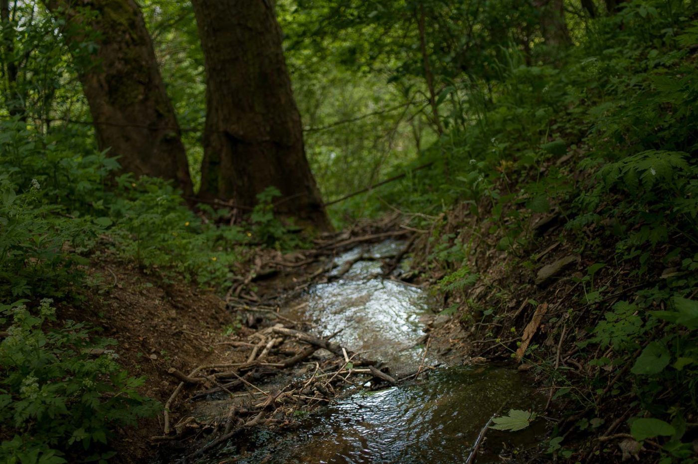 2017-05-25 - Blankenburg