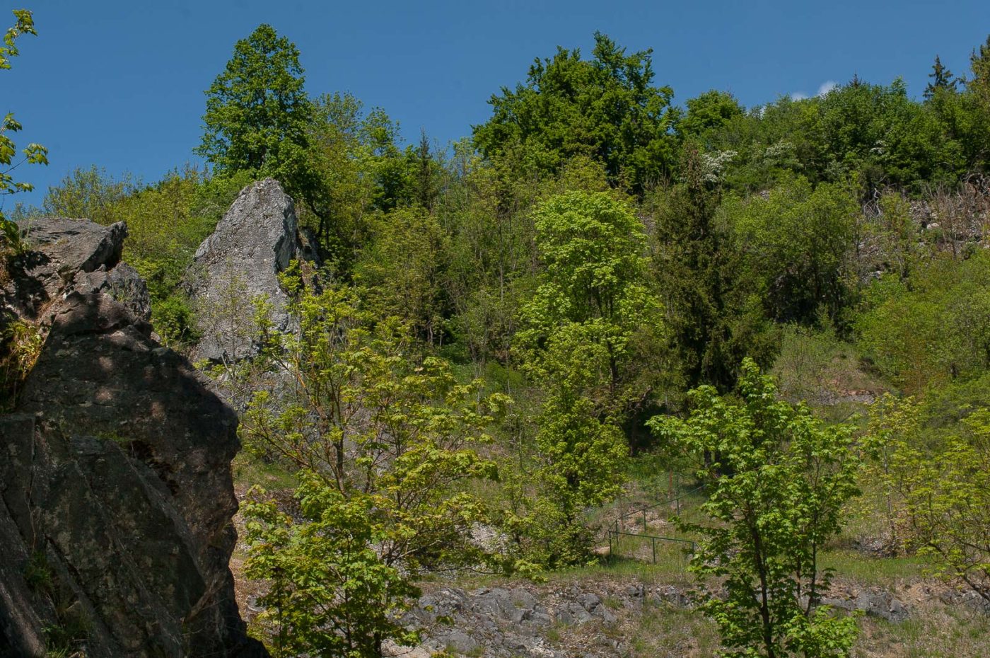 2017-05-25 - Blankenburg