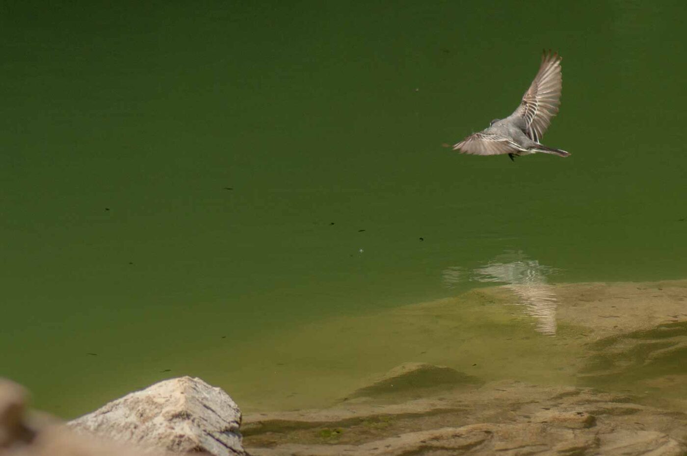 2017-05-25 - Blankenburg