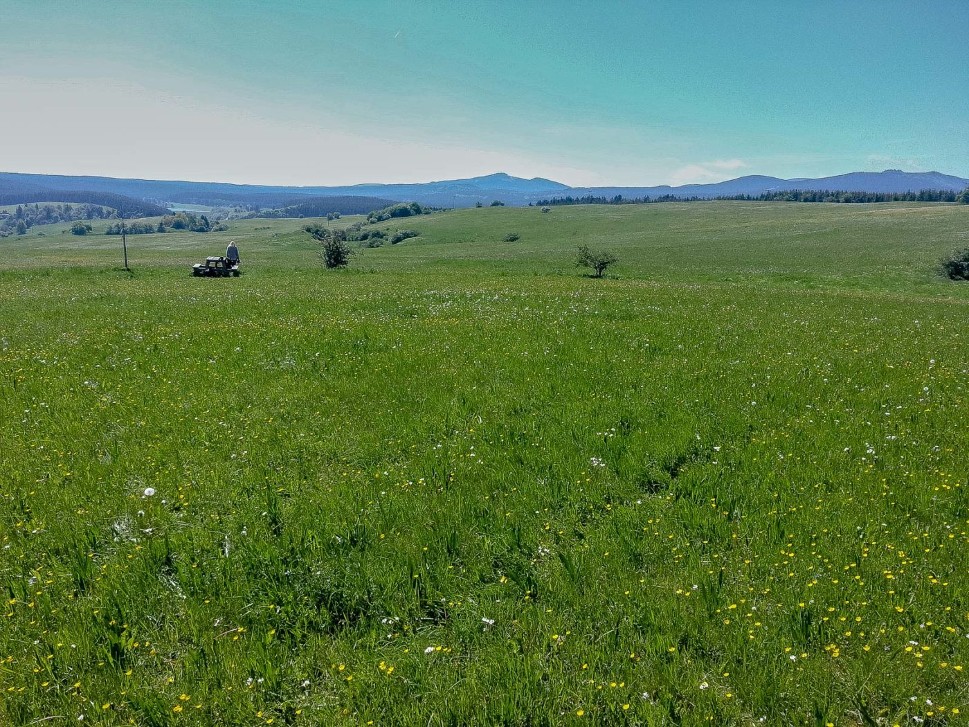 2017-05-25 - Blankenburg