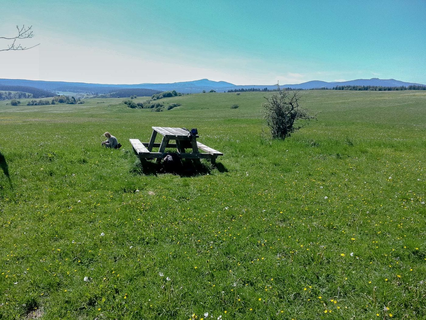 2017-05-25 - Blankenburg