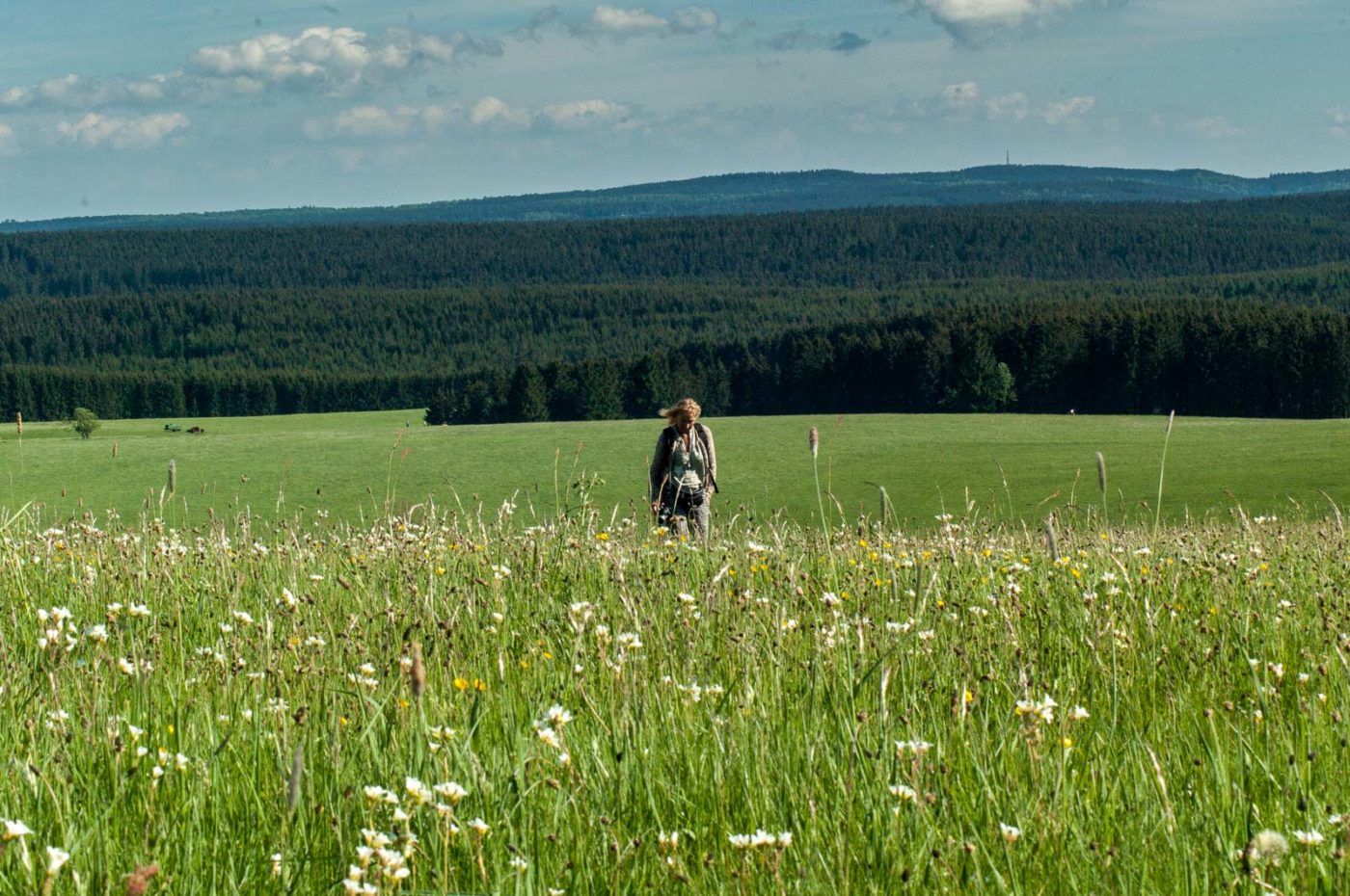 2017-05-25 - Blankenburg
