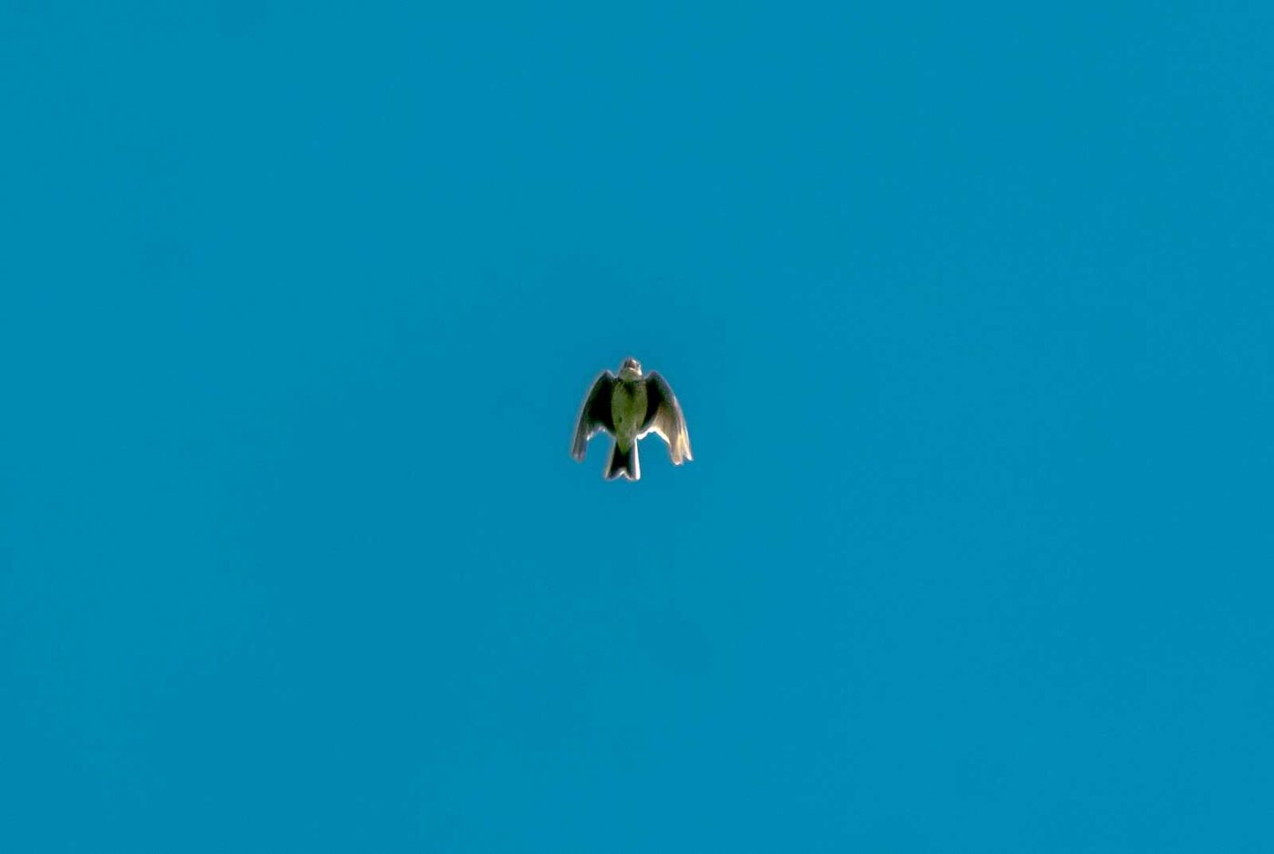 2017-05-25 - Blankenburg