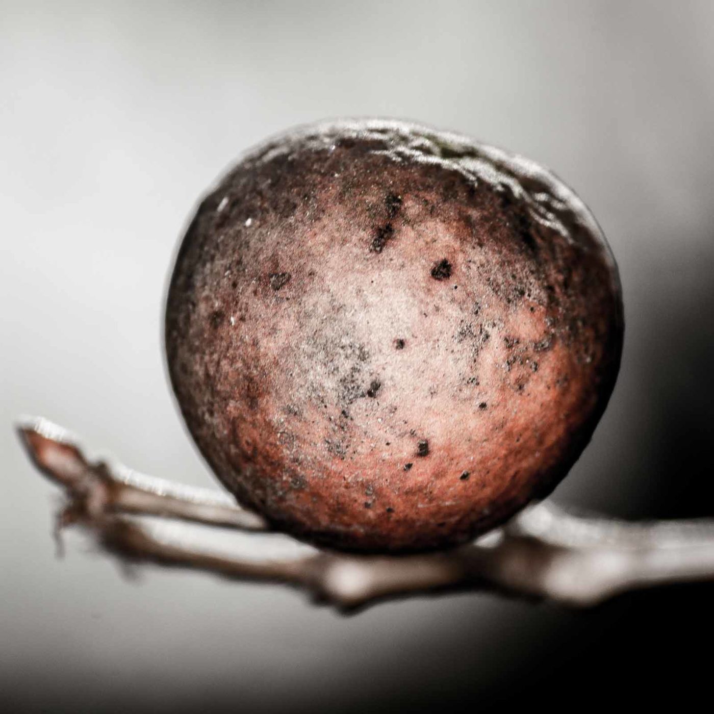 2019-02-23 - NSG Storchengraben Herne