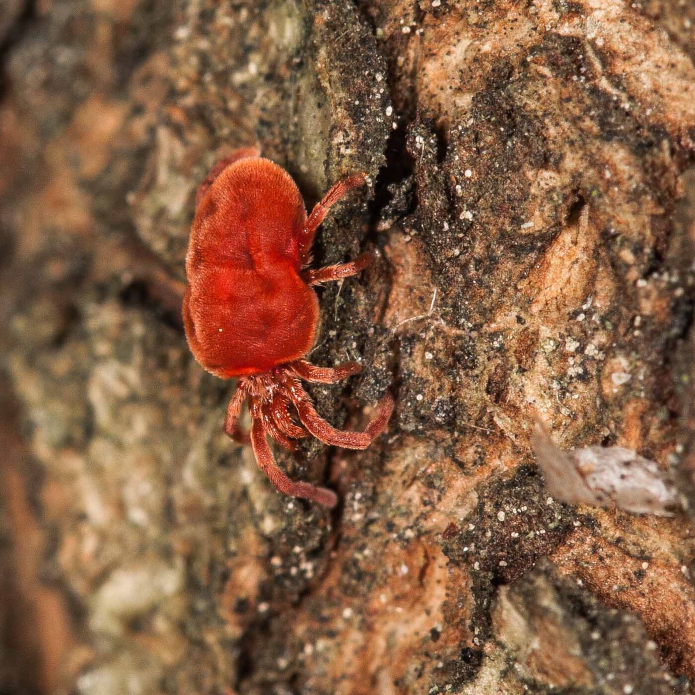 2019-02-23 - NSG Storchengraben Herne