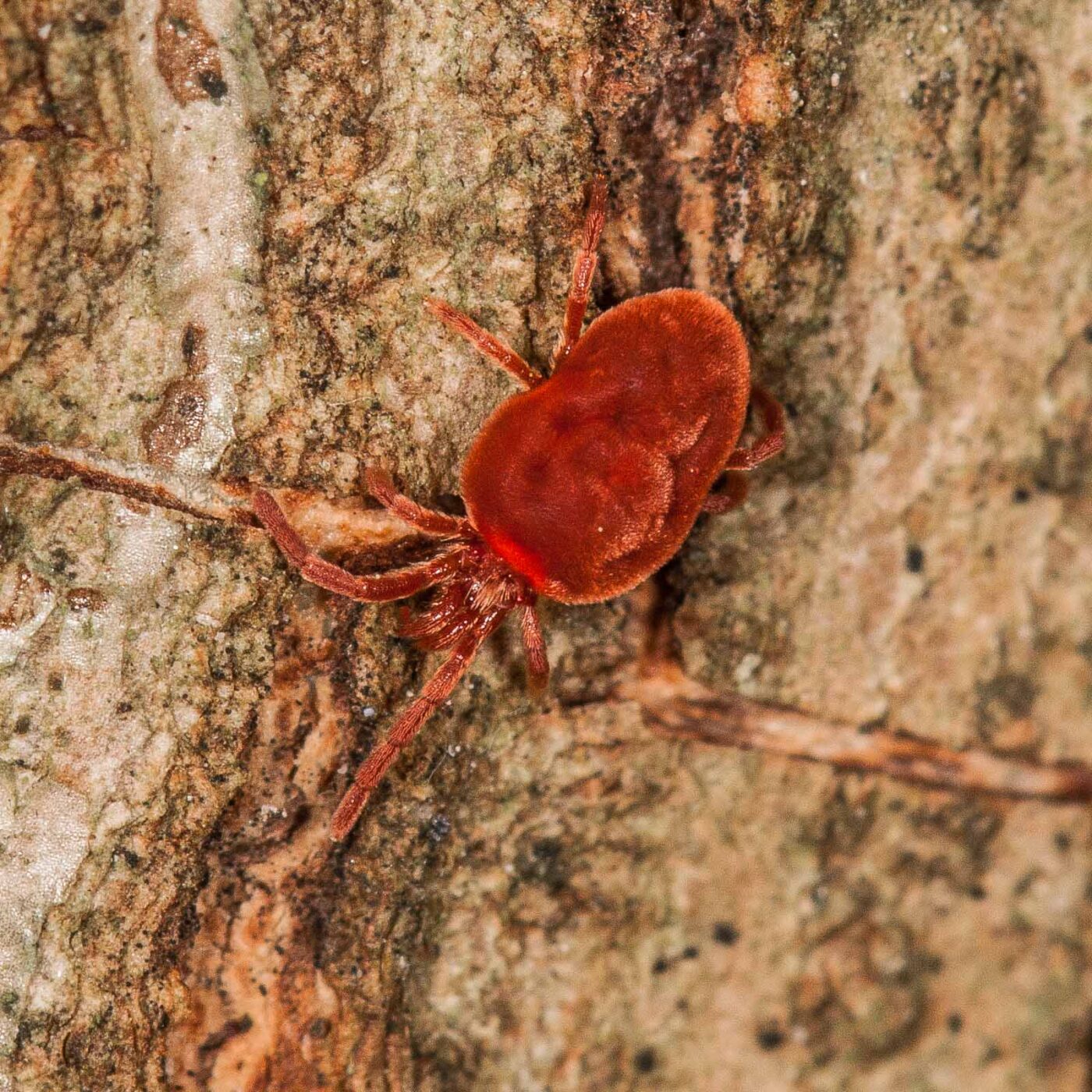 2019-02-23 - NSG Storchengraben Herne