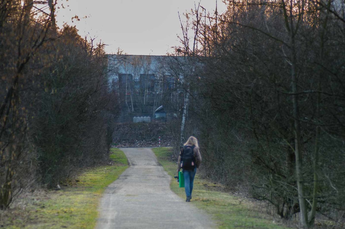 2019-02-23 - NSG Storchengraben Herne