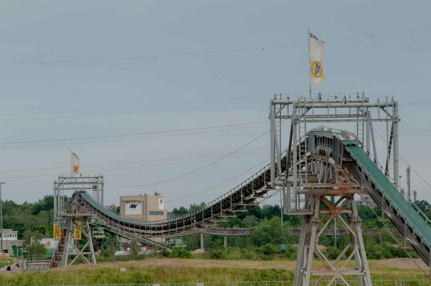 2019-06-09 - NSG Braucksenke Marl