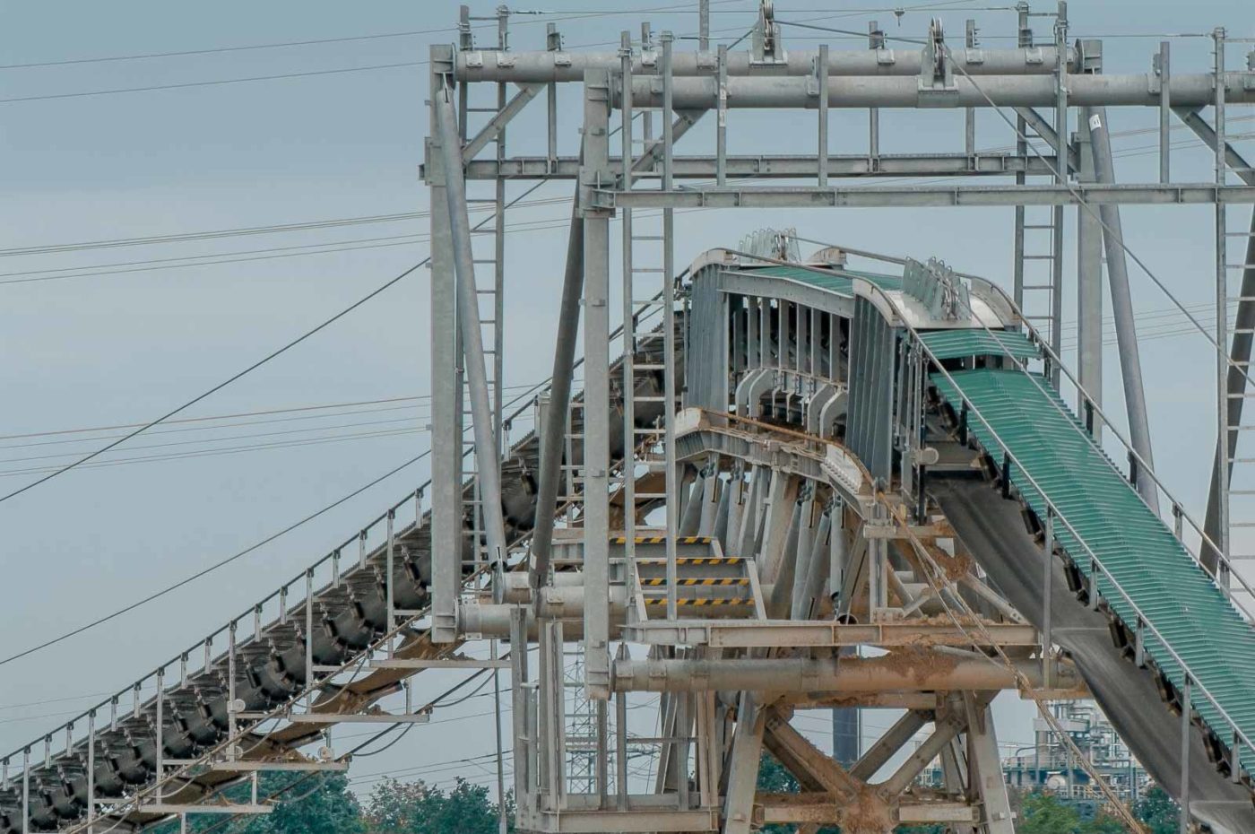 2019-06-09 - NSG Braucksenke Marl