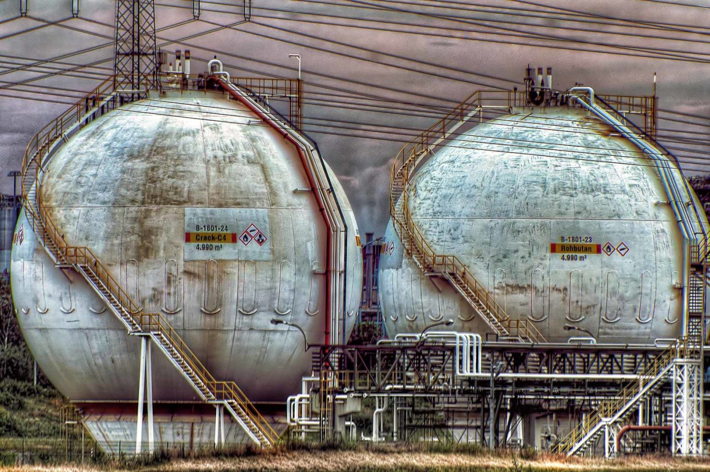 2019-06-09 - NSG Braucksenke Marl