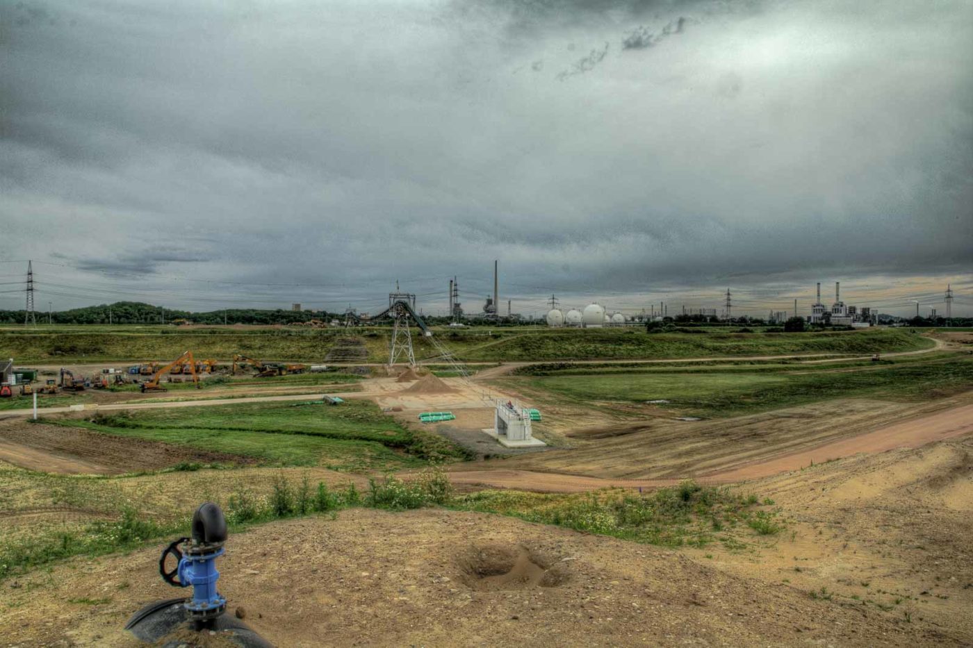 2019-06-09 - NSG Braucksenke Marl