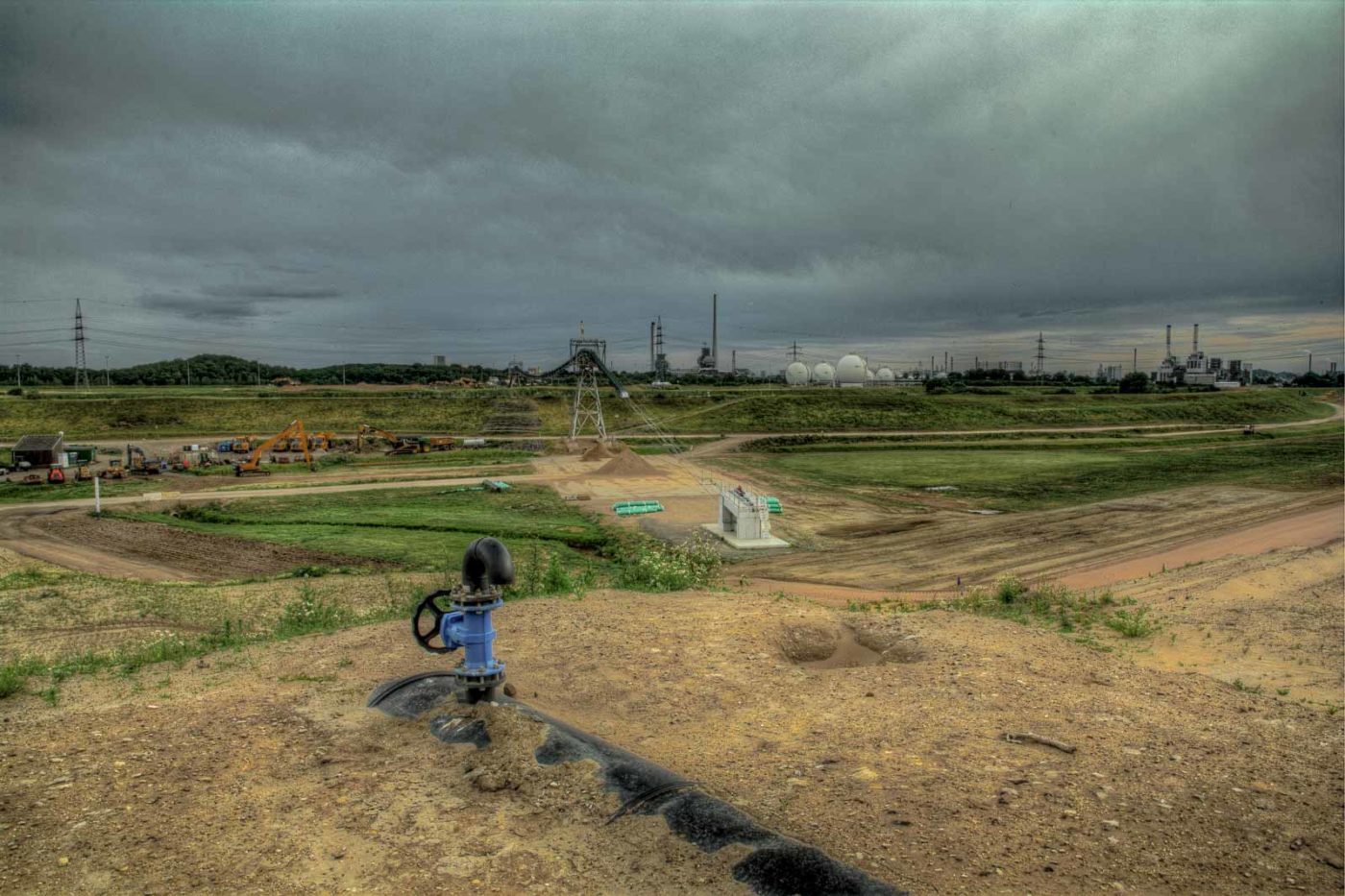 2019-06-09 - NSG Braucksenke Marl