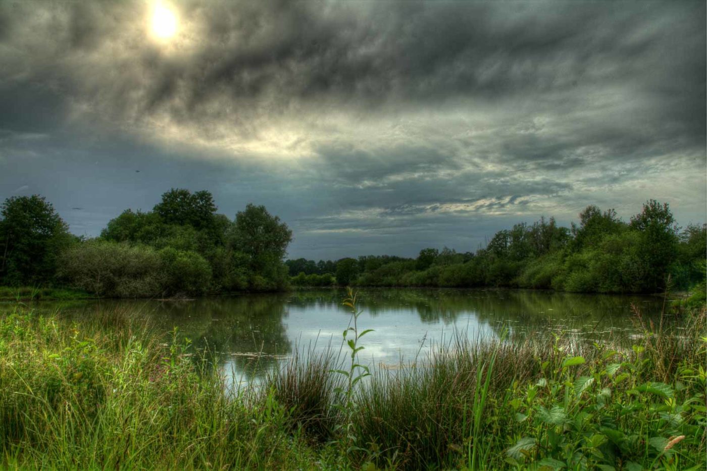 2019-06-09 - NSG Braucksenke Marl