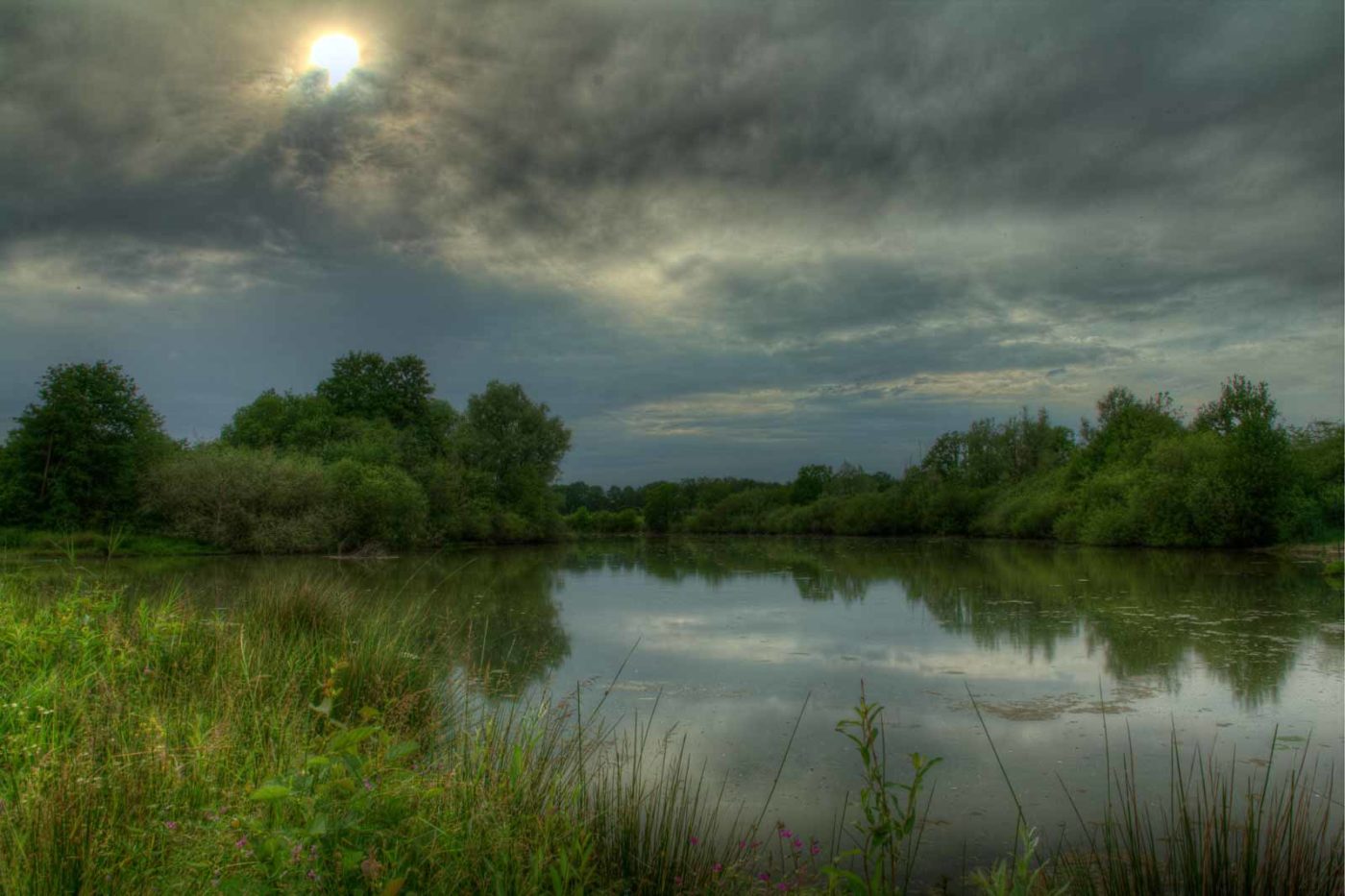 2019-06-09 - NSG Braucksenke Marl